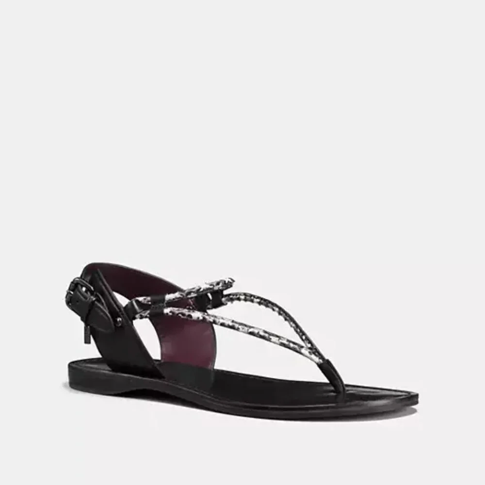 Coach Clarkson Thong Sandals Black White Snake Embossed Leather 5M NIB
